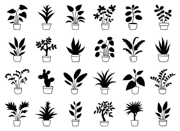 ilustrações, clipart, desenhos animados e ícones de plantas da casa - bush flower pot tree flower