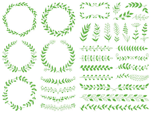 ilustraciones, imágenes clip art, dibujos animados e iconos de stock de plantas dibujadas a mano, divisores, coronas, marcos de borde - vector flower pattern green