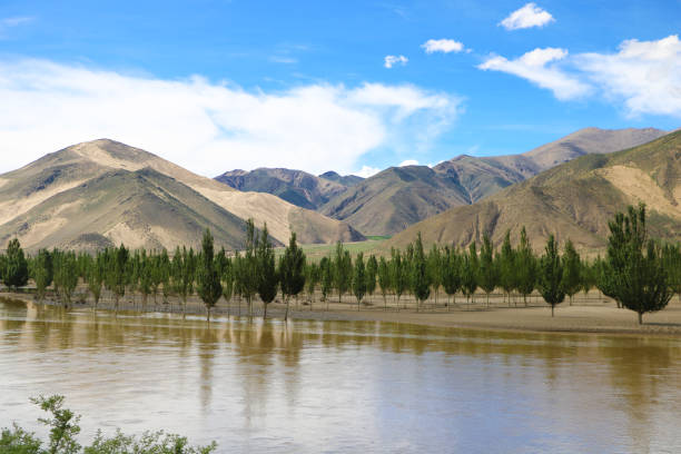 The photo shows the banks of the Yarlung Tsangpo river (Tibet), delimited by trees and mountains.