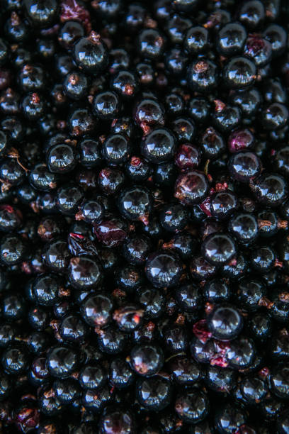istock Food backgrounds  of black currant 1332891484