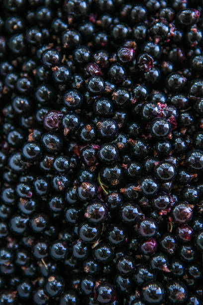 istock Food backgrounds  of black currant 1332891507