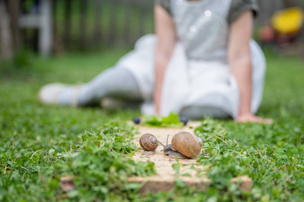 Two snails, small and big, on a wooden board placed on green grass with a blurred toddler girl in background observing the animals.
