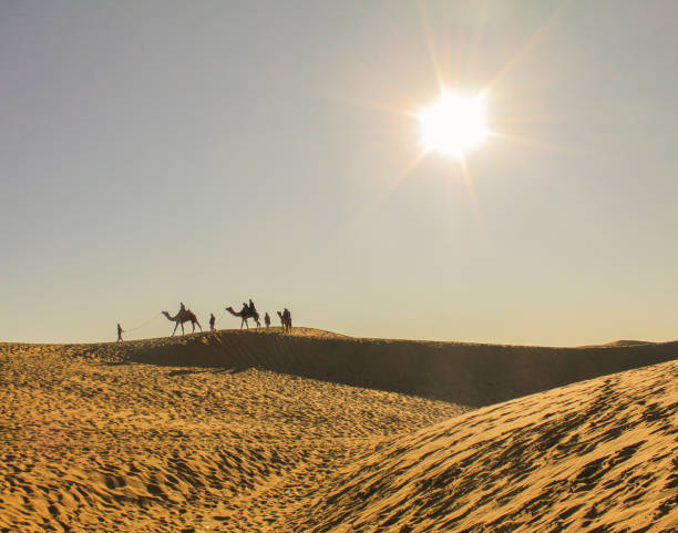 istock Camel Ride in Thar Desert Jaisalmer 1332895028