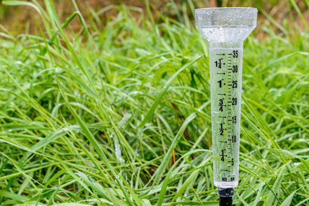 Full rain gauge in grass