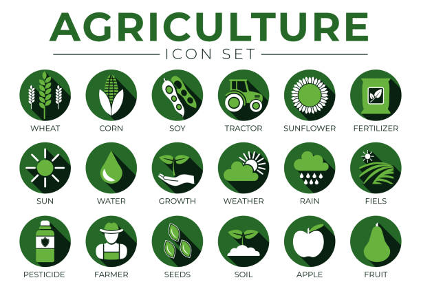 小麦、トウモロコシ、大豆、トラクター、ヒマワリ、肥料、太陽、水、成長、天候、雨、畑、農薬、農家、種子、土壌、リンゴ、フルーツアイコンの濃い緑の農業ラウンドアイコンセット。 - cini点のイラスト素材／クリップアート素材／マンガ素材／アイコン素材