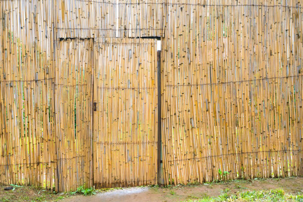 istock Fence from a bamboo tree, outdoors 1332907630