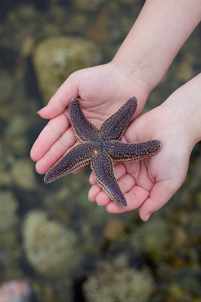 istock Star in the palm of her hand 133291441