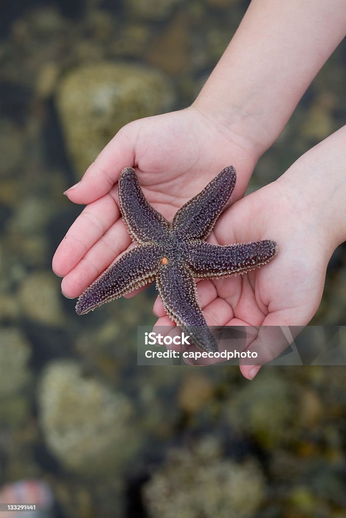 Estrela na palma da sua mão - Royalty-free Criança Foto de stock