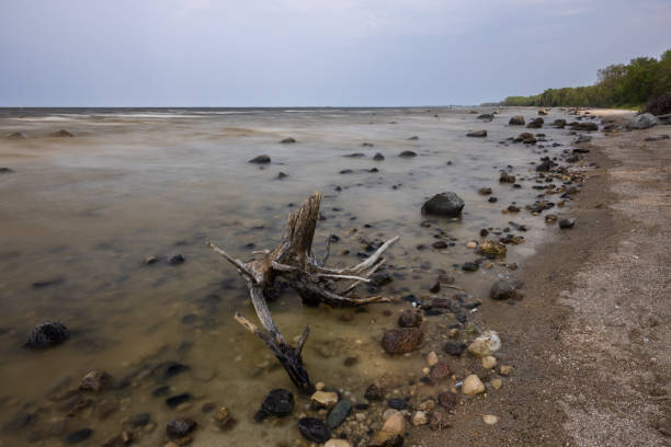 Long shutter speed was used to blur the waves crashing into the shore of Lake Superior at Whitefish Point in Paradise Michigan.  A large log of drift wood is being battered by the waves and the water is flowing back into the lake over the sand and multi colored rocks.  Shot with a tilt shift lens and a high resolution D800.