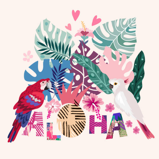 ilustraciones, imágenes clip art, dibujos animados e iconos de stock de fondo de flores tropicales. aloha- letras de texto. diseño de verano - psitácidas