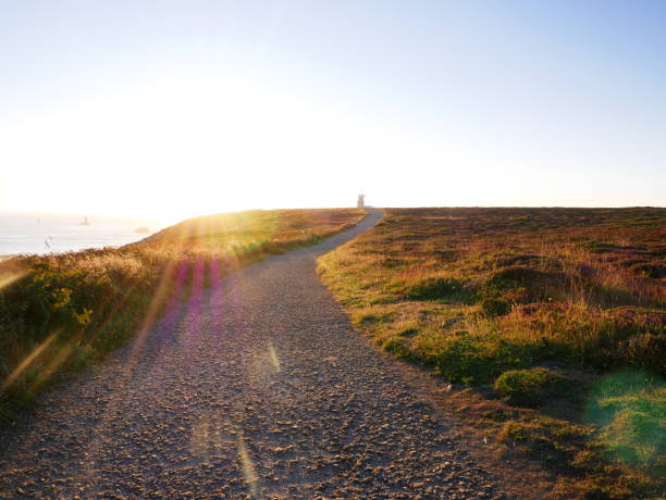 istock Sunlit path with the ocean in the background 1332918187