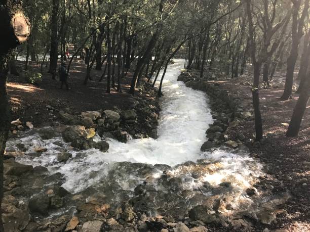 세스 폰츠 우파네스. 캄파넷 마을 - spring stream landscape boulder 뉴스 사진 이미지