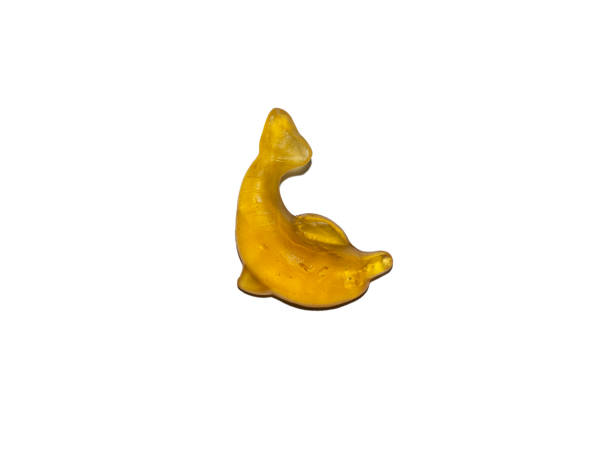 istock Unhealthy, junk food. 1332919336