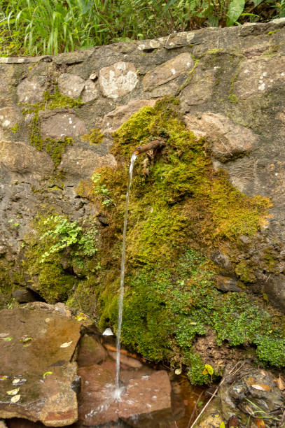 istock spring water jet with moss covering the rocks 1332920133