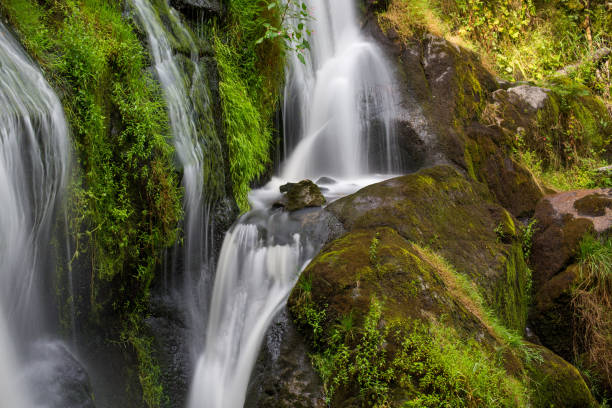 istock A rock in the middle of a waterfall 1332920183