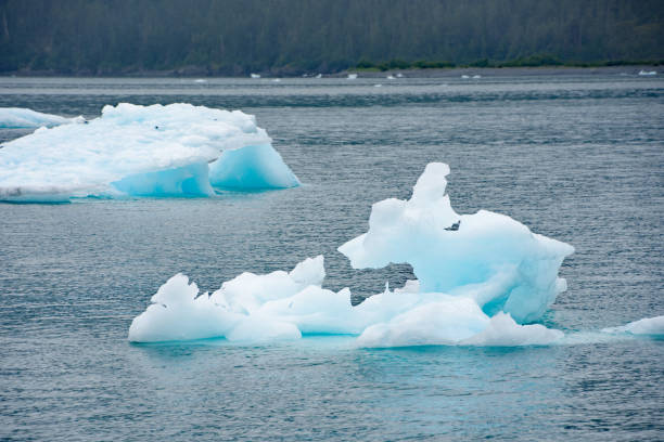 istock Columbia Glacier in Valdez Alaska 1332928676