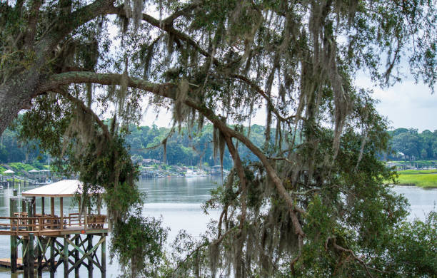 istock The Waterway in Bluffton 1332929962
