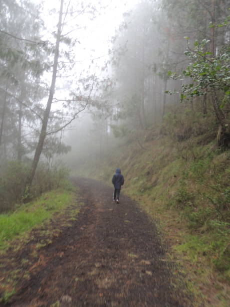 istock Under the fog downhill walk 1332931578