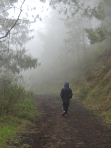 istock Under the fog downhill walk 1332931587