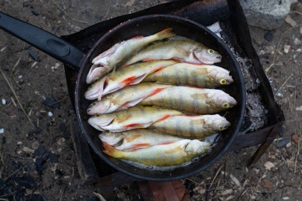 Senior Vietnamese senior eating deep-fried fish dipping with fish sauce at camping