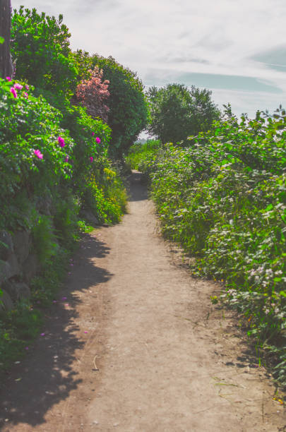 istock Small trail in the green 1332946753