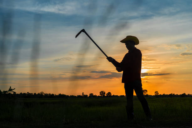 istock Male farmer holding a hoe in a field at sunset 1332948588