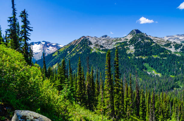 istock Hiking at Rohe Lake in Canada 1332949380