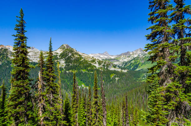 istock Hiking at Rohe Lake in Canada 1332949974