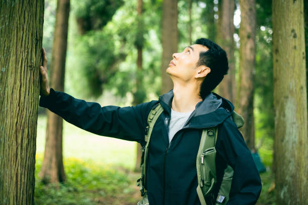 istock Man hiking in wild forest 1332951985
