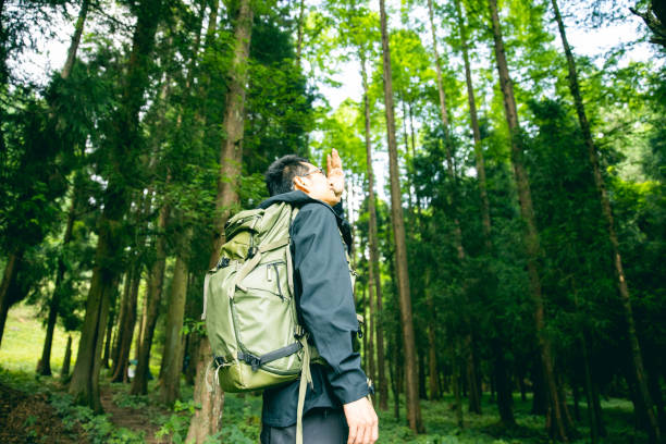 istock Tourist in the forest 1332952782