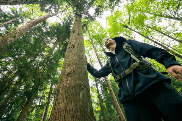 istock Man hiking in wild forest 1332953591