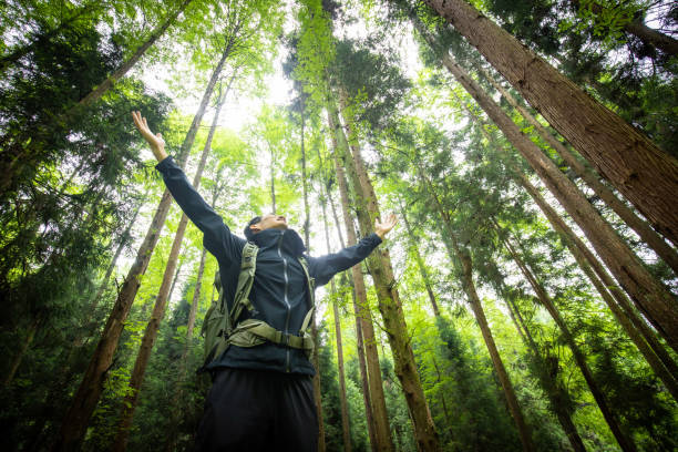 istock Young man enjoying nature with arm raising 1332953659