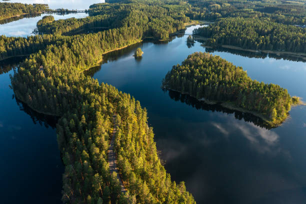 Blue lakes and Green forests In Punkaharju Nature Reserve in summer in Finland. Blue lakes and Green forests In Punkaharju Nature Reserve in summer in Finland. etela savo finland stock pictures, royalty-free photos & images