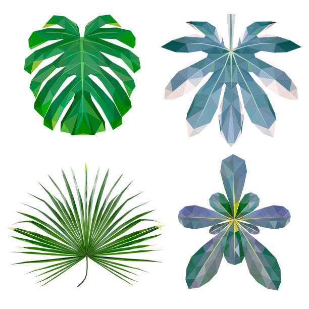 trendy low poly set of four tropical leaves. trendy low poly set of four tropical leaves, botanical sketch of vector graphic colour illustration on white background low flower arrangements drawings stock illustrations