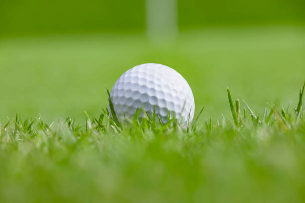 istock A golf course with beautiful fresh green and a pure white ball 1332961571