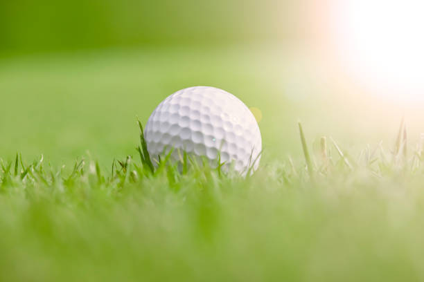 istock A golf course with beautiful fresh green and a pure white ball 1332961641