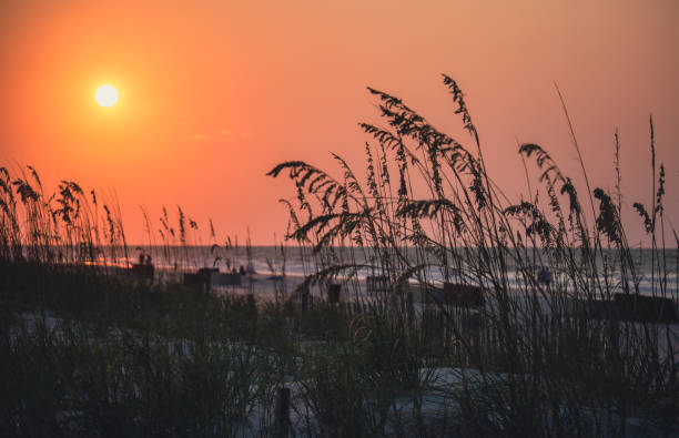 istock Sunrise on Hilton Head Island 1332962255