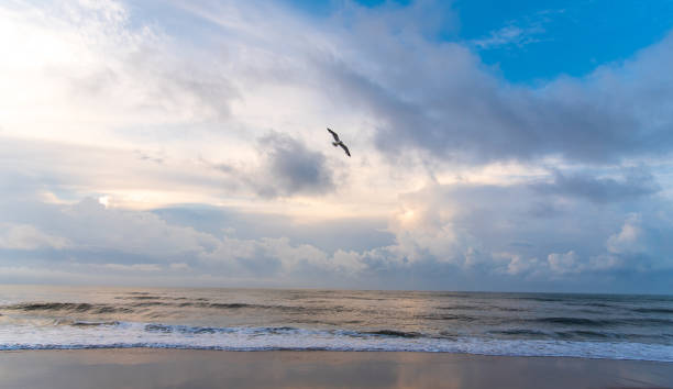 istock Sunrise on Topsail Island 1332962343