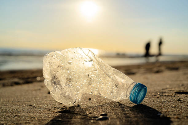 istock Plastic bottle on sea shore, Garbage caused by our negligence 1332964585