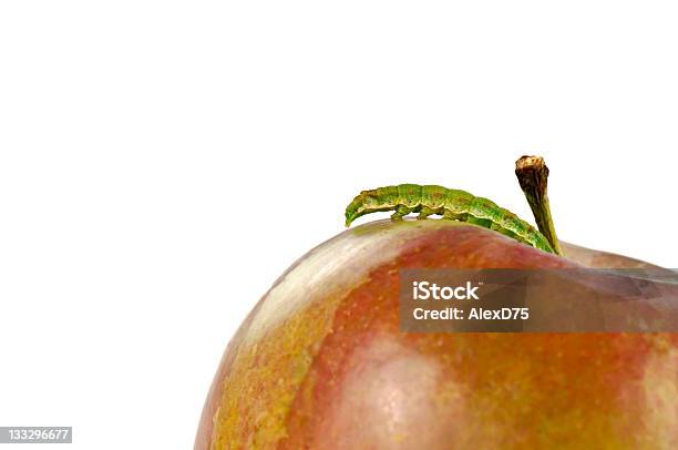 Caterpillar Auf Roter Apfel Stockfoto und mehr Bilder von Apfel - Apfel, Beißen, Bestechung