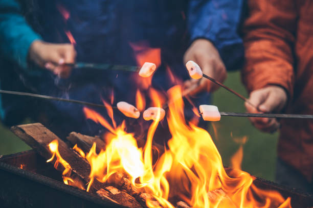 グリルクローズアップで火の上にマシュマロを焙煎する友人の手 - キャンプファイヤー ストックフォトと画像