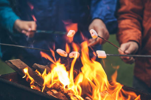 mãos de amigos assando marshmallows sobre o fogo em um close-up grill - bonfire people campfire men - fotografias e filmes do acervo