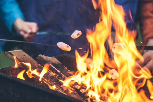 ręce przyjaciół pieczenia marshmallows nad ogniem w grillu zbliżenie - pan frying pan fire fried zdjęcia i obrazy z banku zdjęć