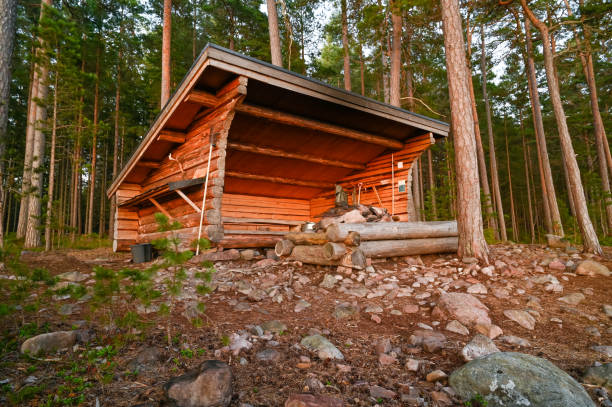 istock wooden windbreak with fireplace in sunsetlight in forest 1332967624