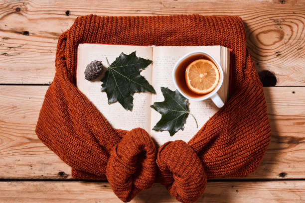 istock Reading a book in a cozy autumn day 1332974040