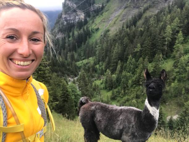 istock Woman takes selfie with a Llama 1332975109