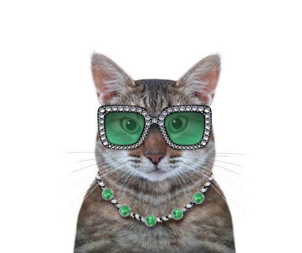 istock Cat gray wears green glasses and pendant 1332977450
