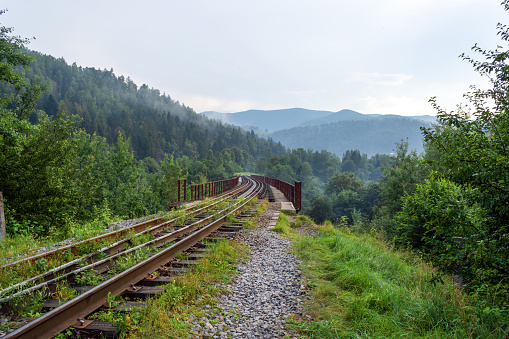 Railway bridge in the mountains. Close-up. Carpathians. Ukraine. Transport Travels
