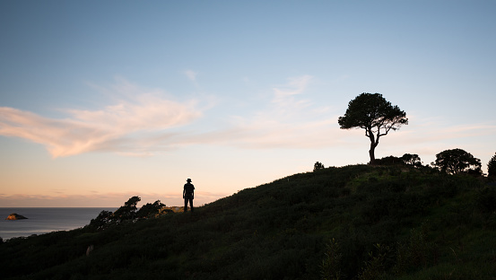 A man silhouetted against the sunset sky standing on the hill and looking at the sea. A lone tree at the top of the hill.