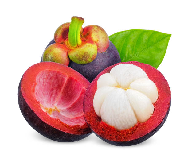 istock Mangosteen isolated on white background 1332979715